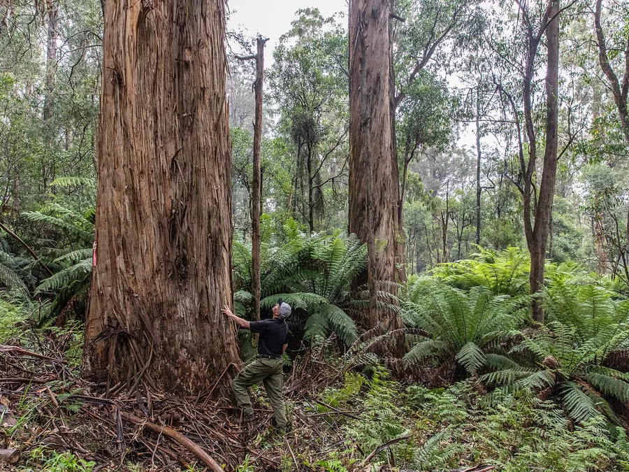 australia exploration tours — in practice